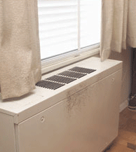 Mold, Moisture and Your Home